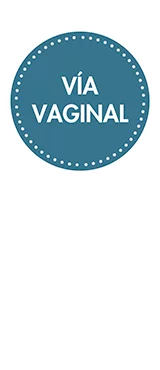 Cápsulas vía vaginal